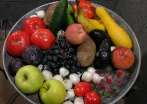 果物　野菜　実験