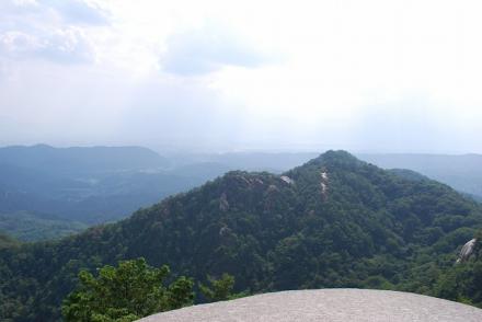 DSC_3372.jpg