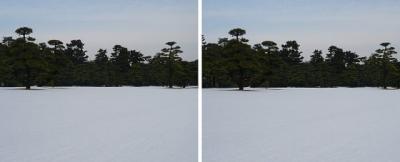 皇居外苑の雪景色 平行法3Dステレオ立体３Ｄ写真