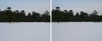 皇居外苑の雪景色 交差法3Dステレオ立体写真