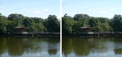 真夏の奈良公園 鷺池浮見堂 平行法3D立体ステレオ写真
