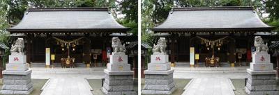 武蔵新田神社 平行法3Dステレオ立体写真