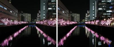 目黒川イルミネーション冬の桜 交差法3Dステレオ立体写真