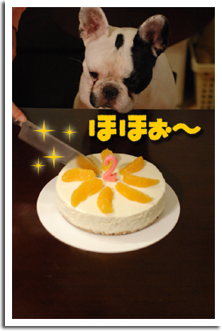 ワンコのお誕生日ケーキ