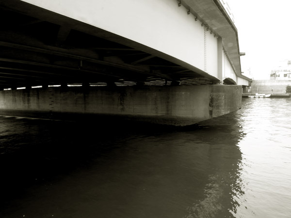 bridge17.jpg