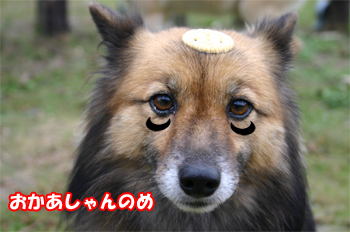 おかあさんの目の下が・・091027a