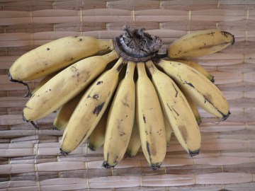 タートン産バナナ