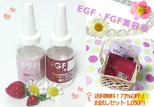 EGF＆FGF セルビック化粧品のEエッセンス＆Fエッセンス