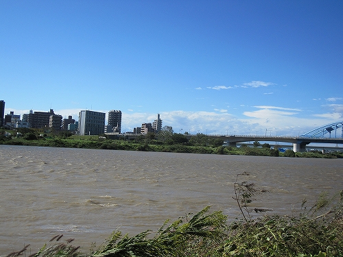 多摩川の濁流