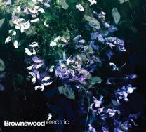 BROWNSWOOD ELECTRIC