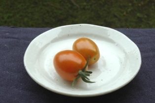 tomato 001