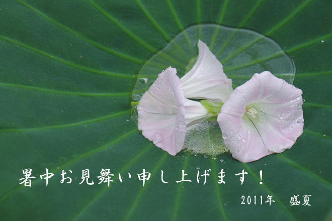 2011_Summer-Card.jpg