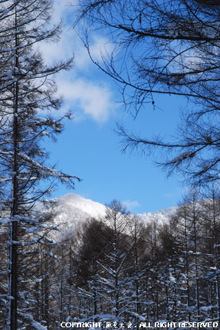 曽原湖エリアの冬景色