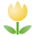 tulip_yw.png