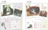 猫ブログカレンダー2011-1
