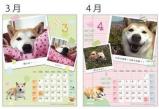 犬ブログカレンダー2011-1