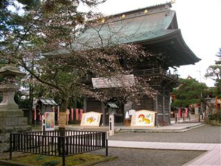 0912竹駒神社桜3
