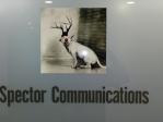 Spector Communications