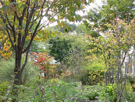 色づく秋の庭
