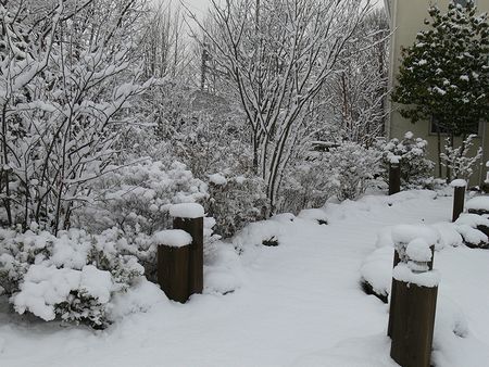 雪の庭２