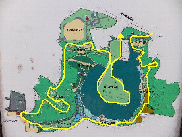 東高根森林公園　地図