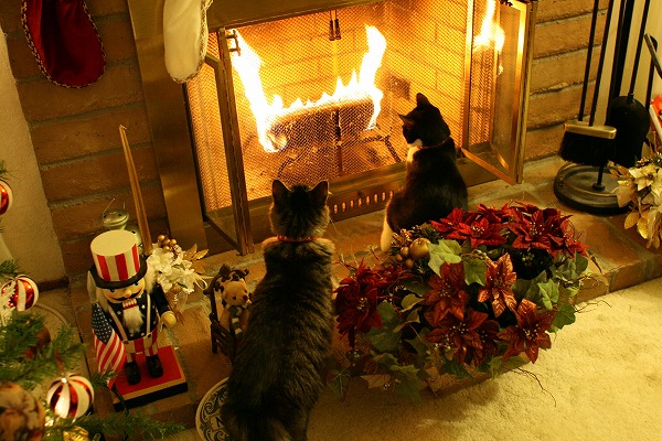 2009_12_23 fireplace_2