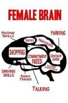 女性の脳の中
