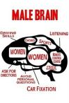 男性の脳の中