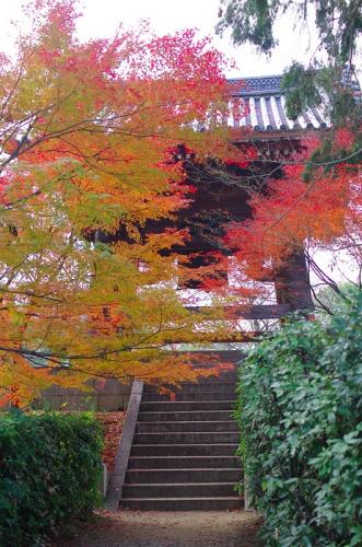 散歩の後のゴハンは美味い！の京都の朝03