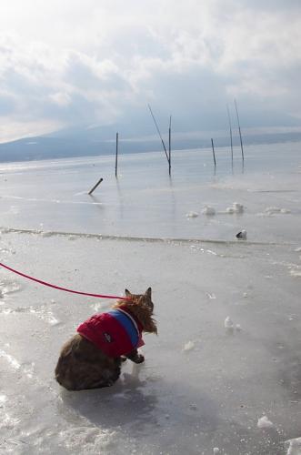 山中湖が凍っています！02