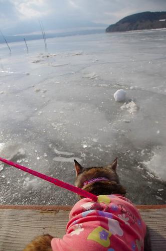 山中湖が凍っています！04
