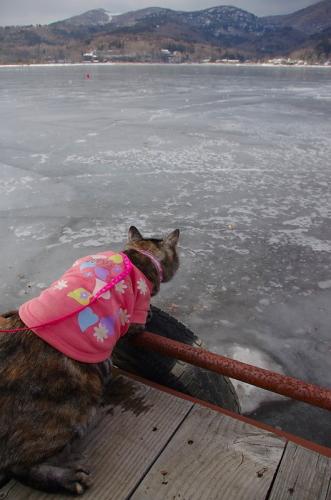 山中湖が凍っています！06