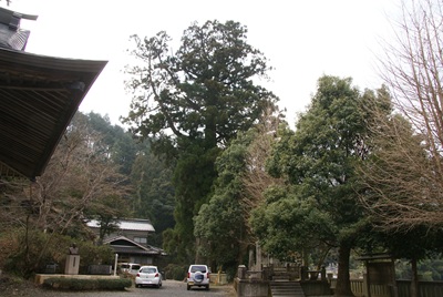 馬岡新田神社５