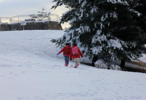 雪中松と小学生
