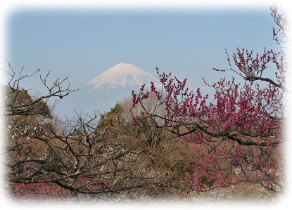 0227富士山