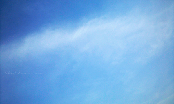 2011 08 18_8794