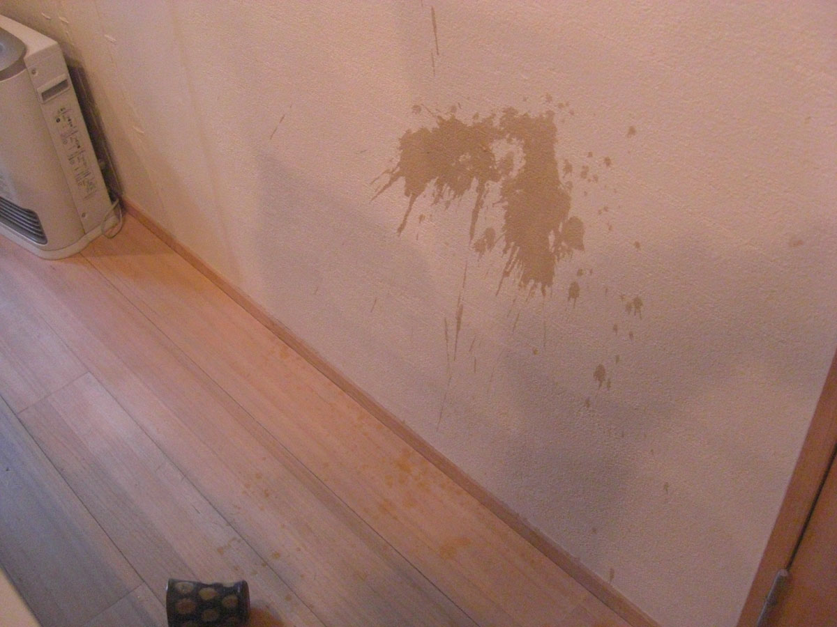 さめちゃんの快適生活日記 メルシーの壁にコーヒーこぼしました