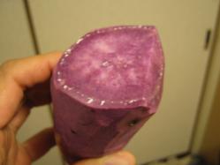 紫色地瓜2