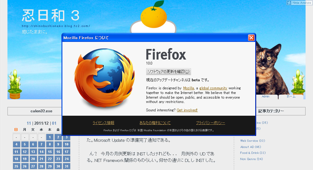 Mozilla Firefox 10.0 Beta 2