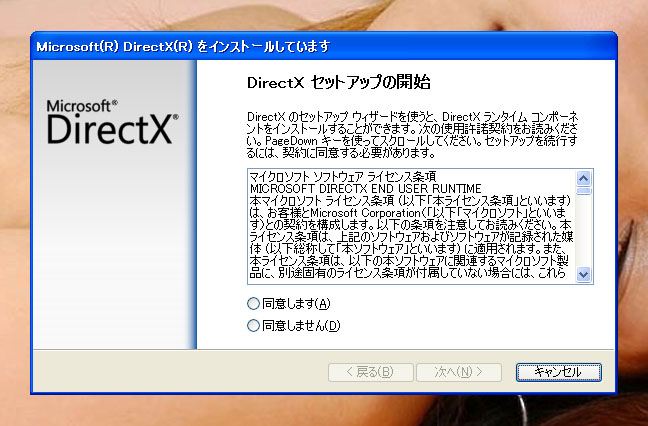 Microsoft DirectX の保守