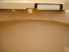 ハウスクリーニング・トイレ汚れ1