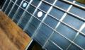 the frets