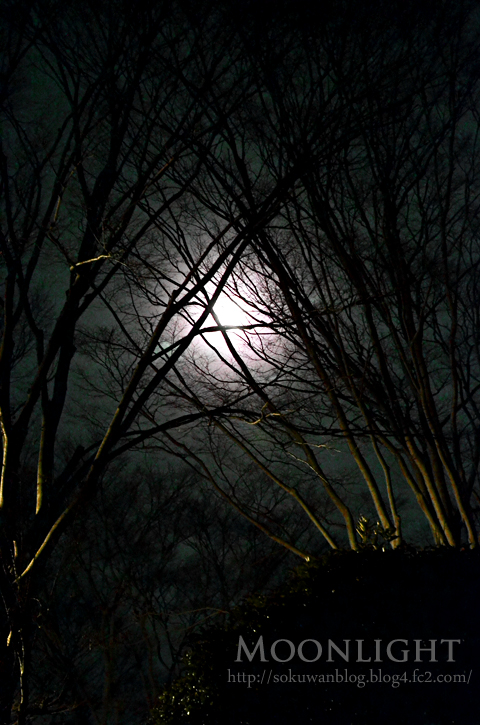 moonlight-j.jpg