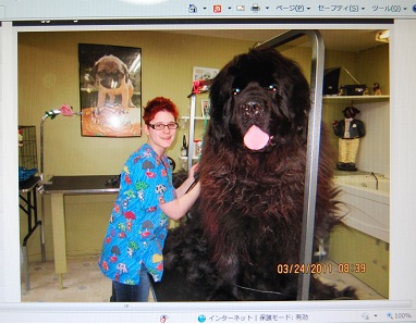 巨大犬？