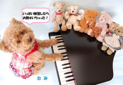 ピアノ練習１-S