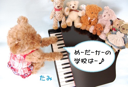 ピアノ練習-S
