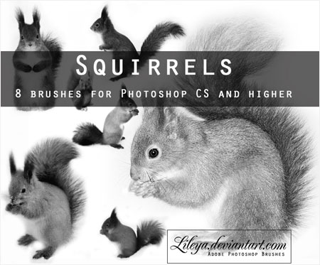 リスのブラシ Squirrels PS brushes