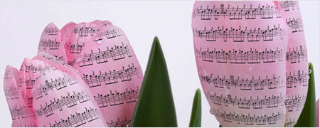 The Effect of Music Notes on Flowers