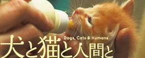 映画「犬と猫と人間と」オフィシャルサイト