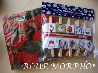 bluemorpho.goods.2011.11.22.2
